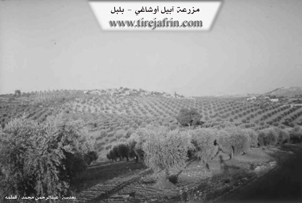 Photo of Upila